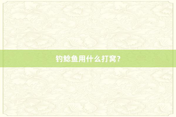钓鲶鱼用什么打窝？