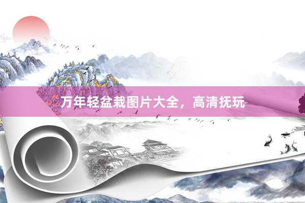 万年轻盆栽图片大全，高清抚玩