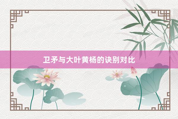 卫矛与大叶黄杨的诀别对比
